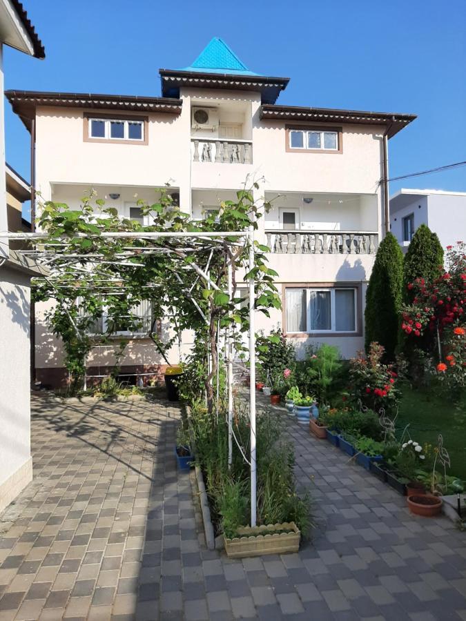 Vila Andra Costineşti Exteriér fotografie