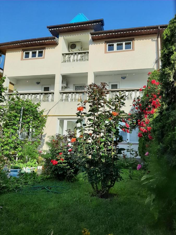 Vila Andra Costineşti Exteriér fotografie